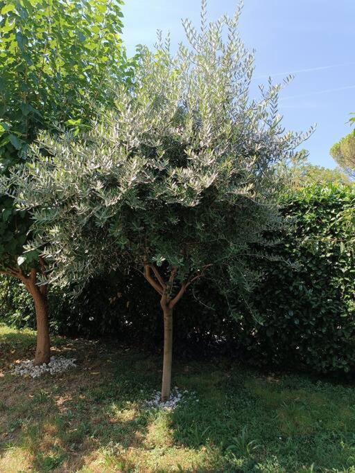 B&B Il Tulipano Como Kültér fotó